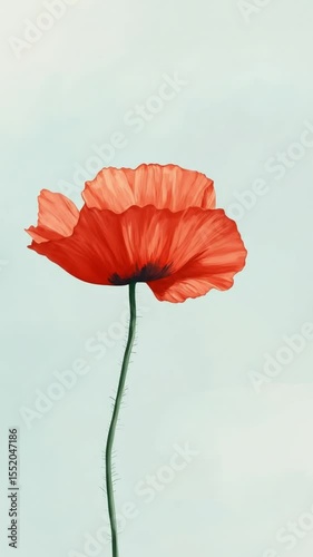 Red poppy flower blooming against a soft pastel background  