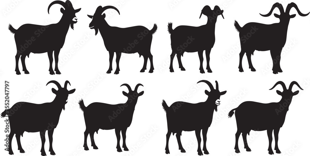 Fototapeta premium Silhouette Collection Eight Majestic Goats in Various Poses