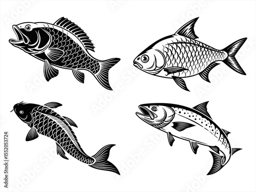 gin matsuba fish sihouette black vector bundle