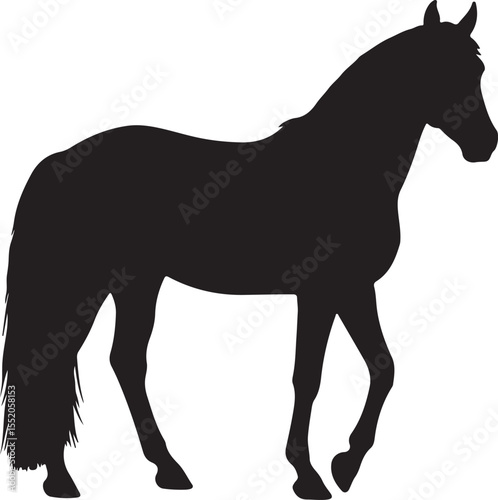Fleuve Horse in silhouette pure white background. 