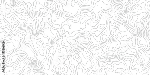 topography white background and black line wireframe isoline location diagram world map texture design.	
