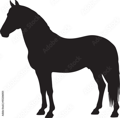 Foutanke or Fouta Horse in silhouette pure white background. 