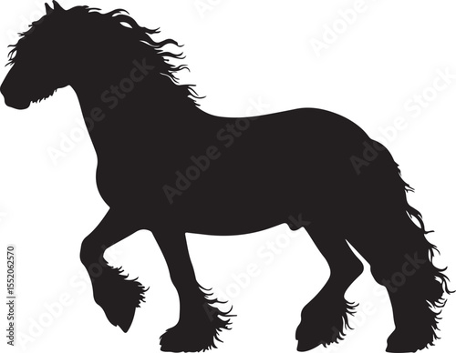 Friesian in silhouette pure white background. 