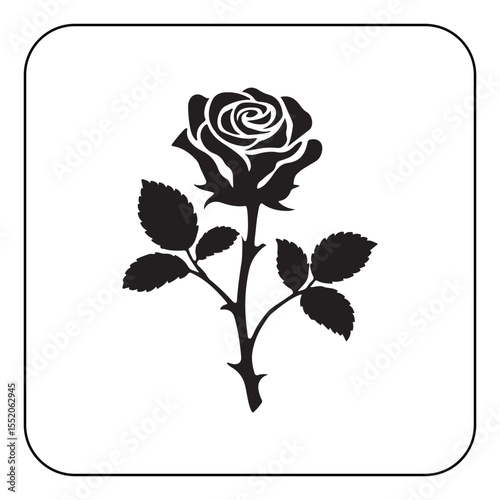 Vector rose flower illustration classic floral decoration
