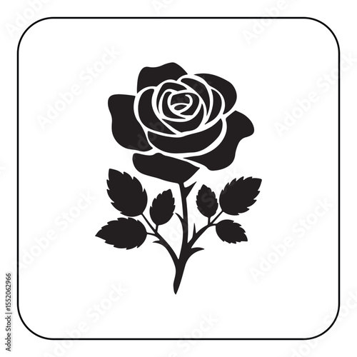 Vector rose flower illustration classic floral decoration