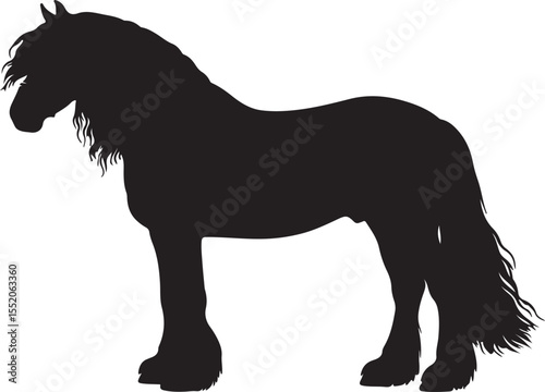 Friesian in silhouette pure white background. 
