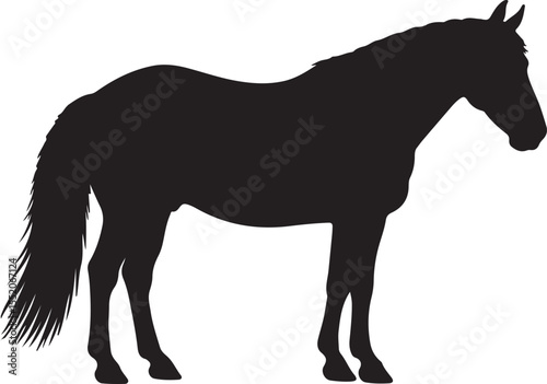 Horse silhouette isolated on white.