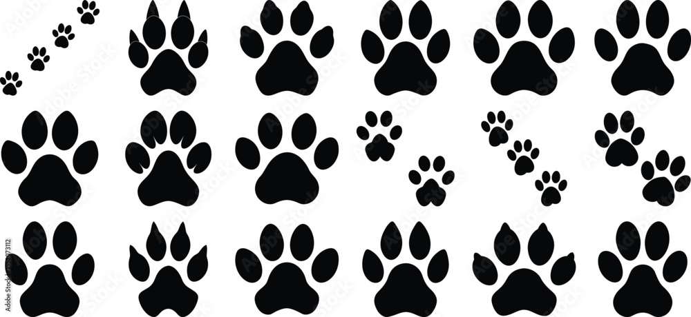 Fototapeta premium Animals Footprint Tiger Silhouette Vector, on white background.
