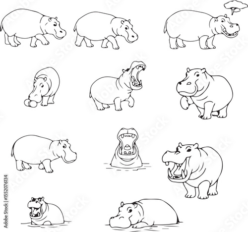 Cute Hippopotamus Line Art:  Illustrations & Drawings of Hippos