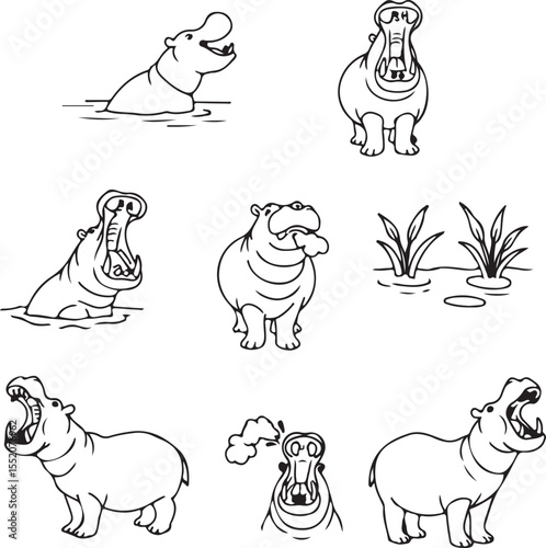 Line Art Hippopotamus Illustrations: Cute Animal Drawings for Projects