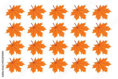 Autumn Maple Leaf Pattern: Vibrant Orange Fall Foliage, Seamless Repeat, White Background