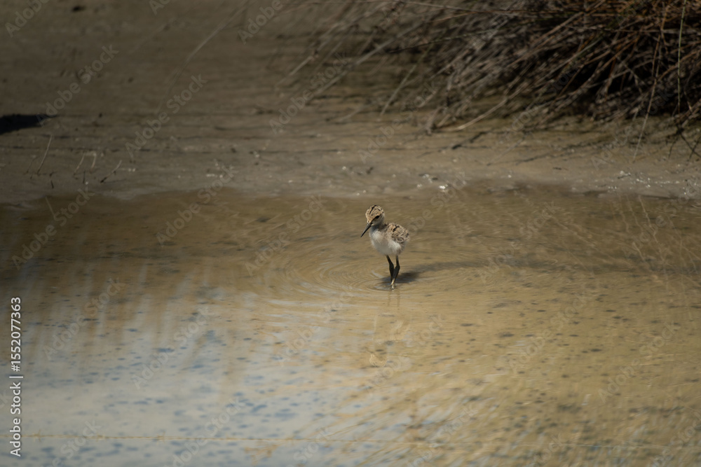 Obraz premium provenza 