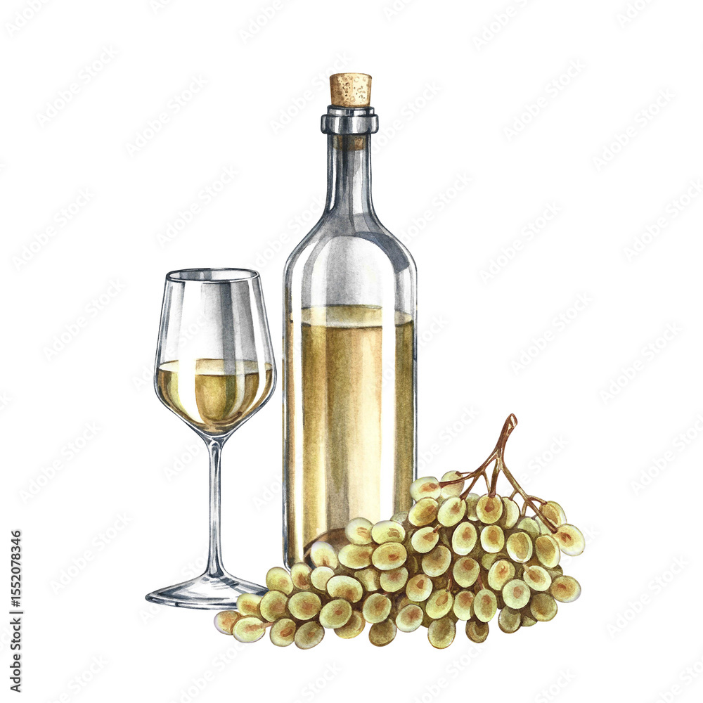 Obraz premium A bottle of white wine, a glass, and a bunch of grapes. Hand-drawn watercolor illustration. Isolation. Color image. For packaging and labels. For banners and posters. For restaurant and bar menus.