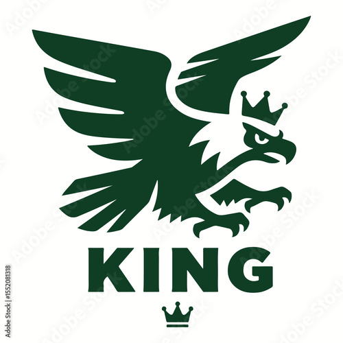 Vector silhouette of eagle bird in flight with wings spread as symbolic illustration