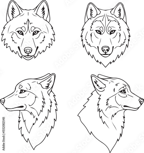 Four Canine Head Sketches: Wolf, Husky, and Two Unknown Breeds