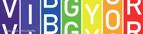 VIBGYOR Rainbow Color Block T-shirt 