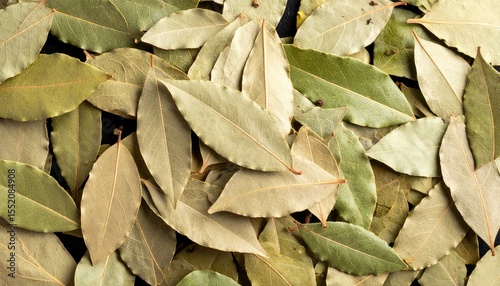 Dried bay leaves