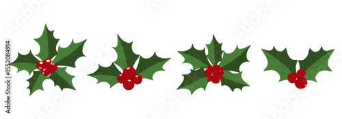 Holly berry icons set. Design elements for Christmas. Vector illustration