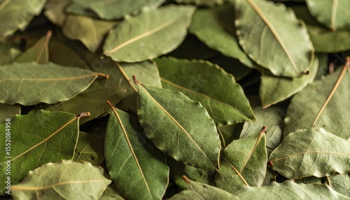 Dried bay leaves