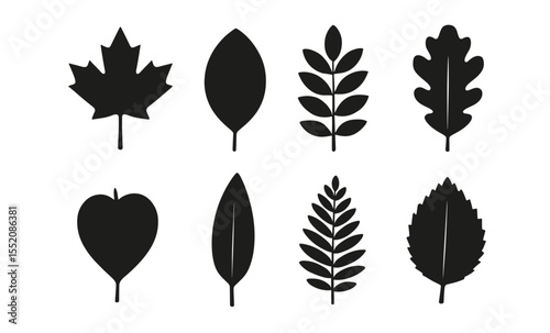 Silhouette collection of various leaf shapes on white background