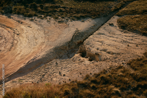 Curved path with dry and cracked soil, crater.