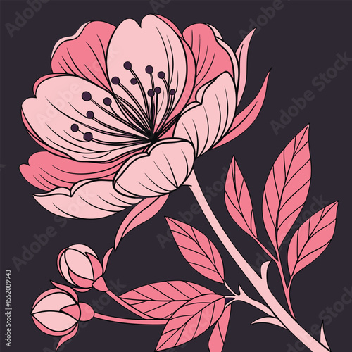 Elegant Single Peony Flower Illustration Layered Petals & Rich Pink Hues