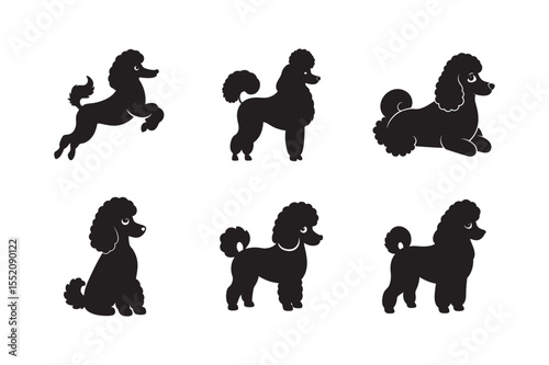 Poodle Silhouette Bundle Showing Six Habitual Poses