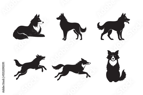 Border Collie Silhouette Bundle Six Habitual Poses