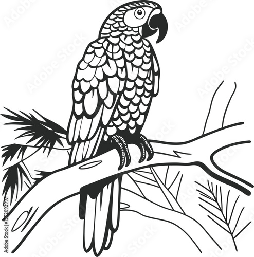 Detailed Parrot Drawing Vector Illustration  

