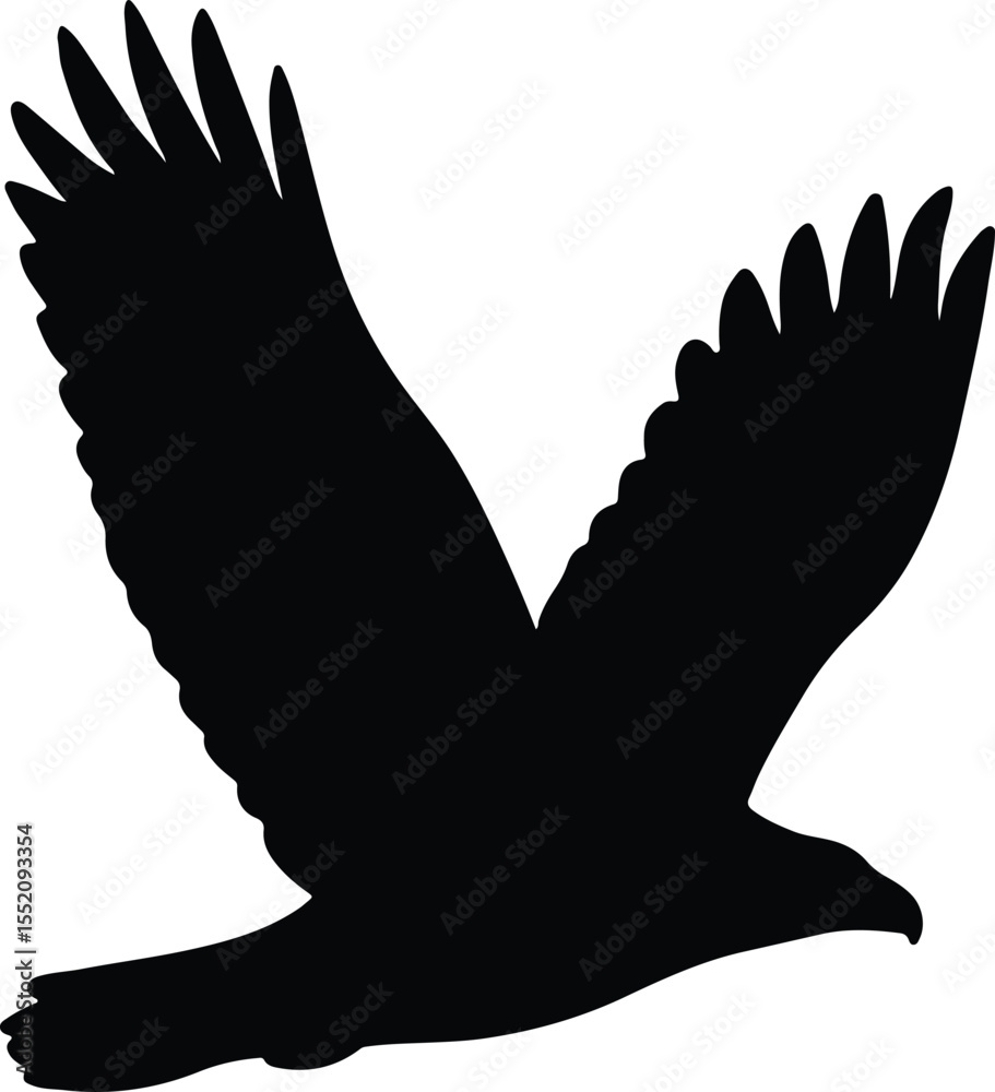 Obraz premium Silhouette Flying eagle with outstretched wings Vector Illustration