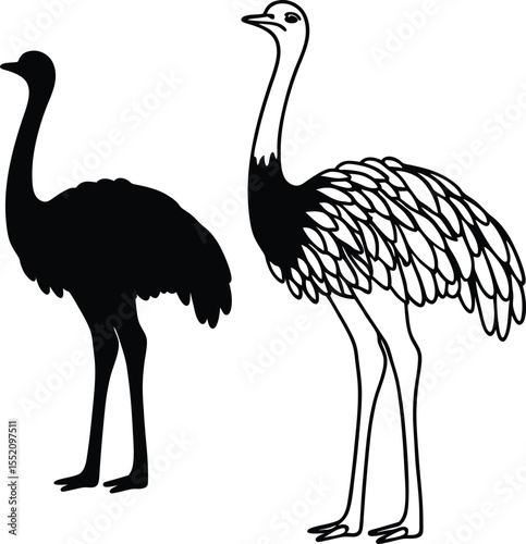 Side View Ostrich Silhouette Vector Illustration  
