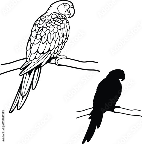 Elegant Parrot Shape Vector Illustration  
