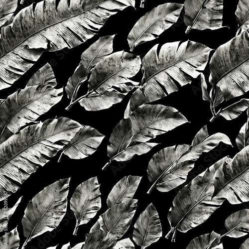 Stylish black banana leaves on dark background, modern aesthetic