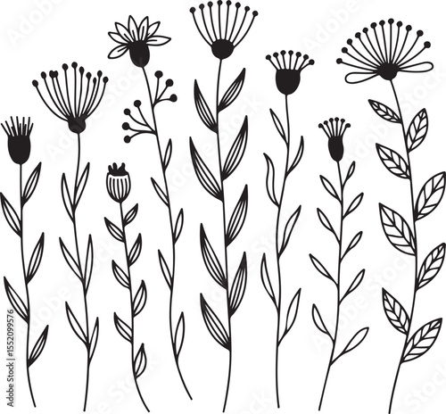 Hand-Drawn Long Floral Stem Doodle Set with Wildflowers and Boho Line Art Style