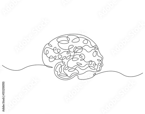 Human brain continuous line. Continuous one line drawing of brain. Organ smart concept. Single line drawing