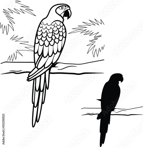 Wild Parrot in Flight Vector Illustration  
