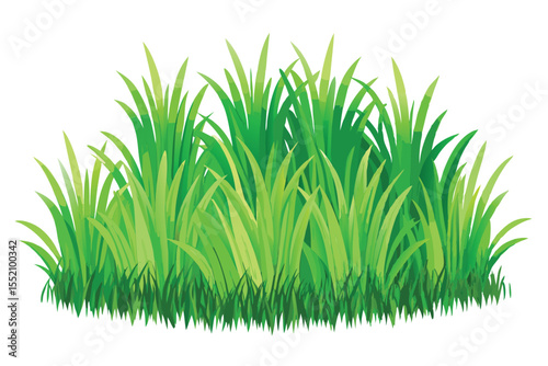 Fresh green grass, perfect for spring or summer designs, isolated on a white background