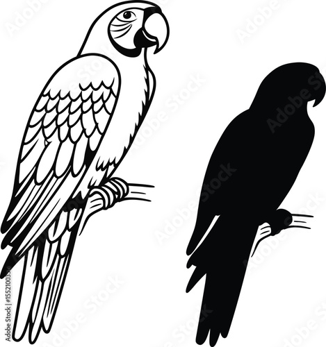 Exotic Parrot Pose Vector Illustration  
