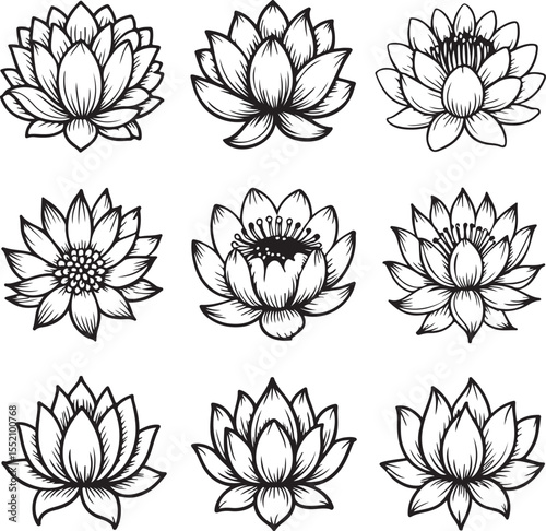 Lotus Flower Doodle Set with Side Views Full Blooms and Boho Sketch Style