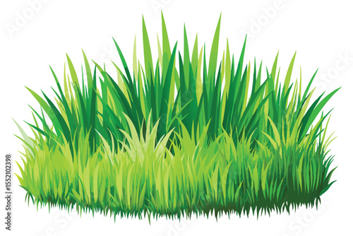 Fresh green grass blades form a vibrant natural frame, isolated on a white background, perfect for spring and summer landscape designs