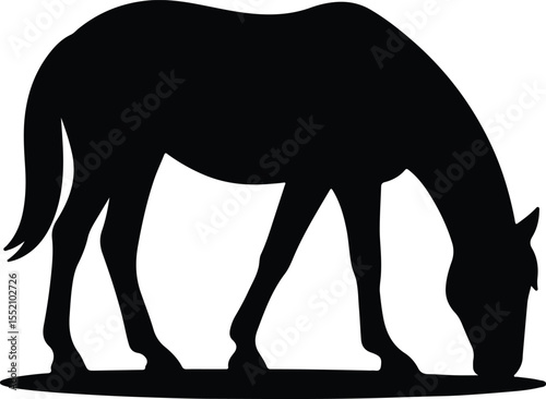 Silhouette horse grazing isolated equine animal farm field Vector Illustration