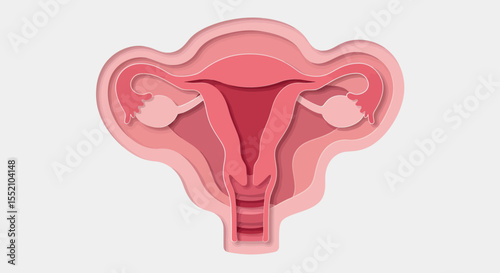 Detailed diagram of female reproductive system in pink tones - educational vector illustration for health awareness