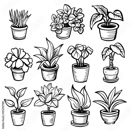 Hand Drawn Indoor Potted Plants Set – Vector Illustration of Houseplants