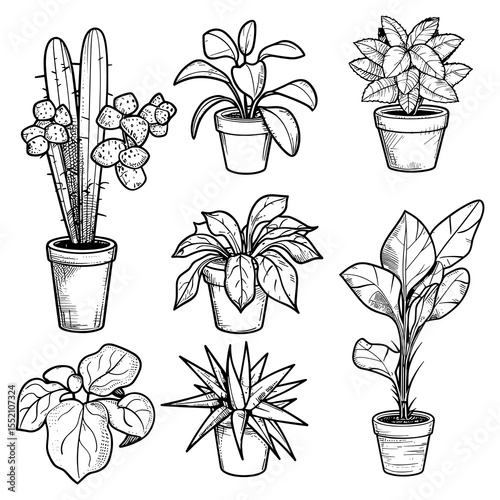 Hand Drawn Indoor Potted Plants Set – Vector Illustration of Houseplants