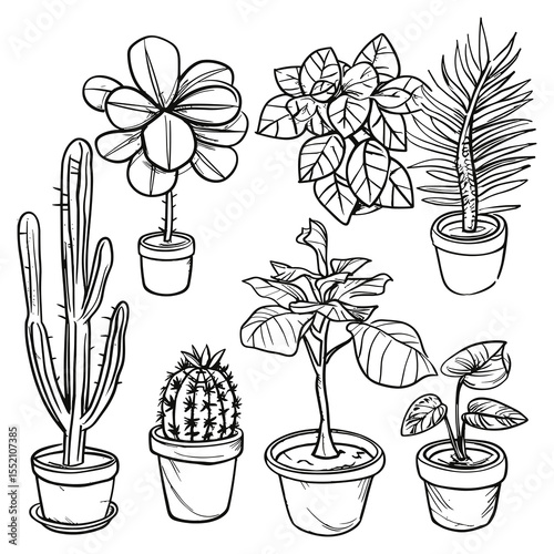 Hand Drawn Indoor Potted Plants Set – Vector Illustration of Houseplants