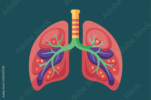 Detailed flat illustration of human lungs showcasing the bronchial structure and alveoli on a solid background for educational purposes in the field of anatomy and health