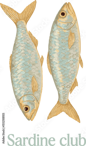 Elegant vintage-style illustration of two sardines with metallic blue and gold tones, accompanied by the playful phrase "Sardine club." Perfect for seafood-themed prints