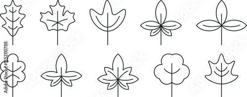 Hand-Sketched Linear Leaves – Delicate Nature Elements in Monoline Style for Sophisticated Vector Designs