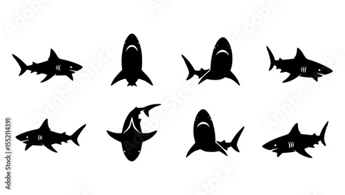 Silhouette of several sharks in different poses