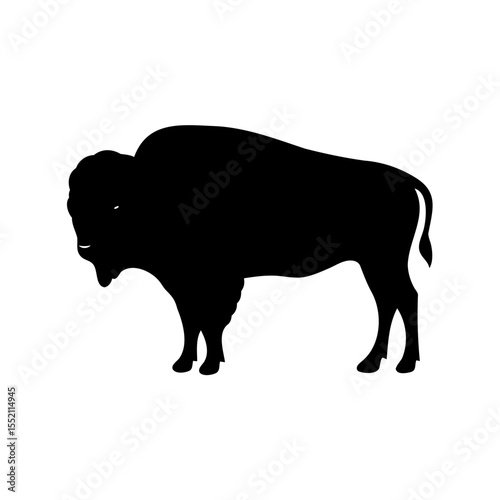 Buffalo silhouette vector, Bison buffalo black silhouette